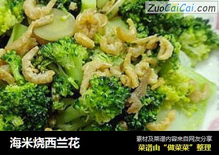 海米烧西兰花