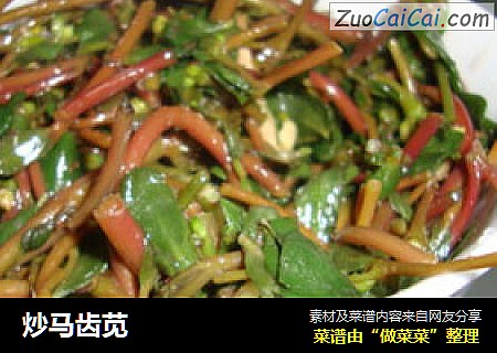 炒马齿苋