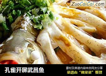孔雀开屏武昌鱼