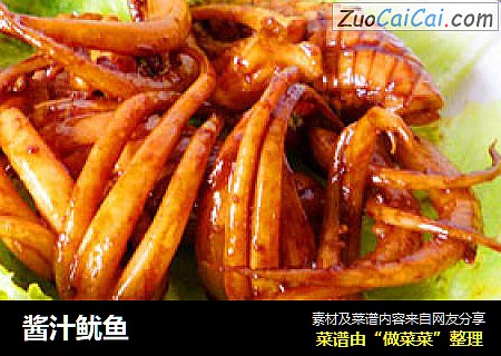 酱汁鱿鱼