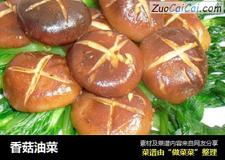 香菇油菜