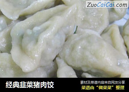 经典韭菜猪肉饺
