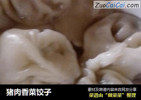 猪肉香菜饺子