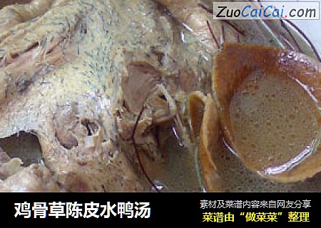 鸡骨草陈皮水鸭汤