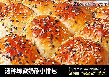 汤种蜂蜜奶酪小排包