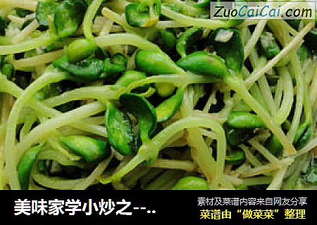 美味家学小炒之--蒜茸黑豆苗