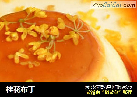 桂花布丁
