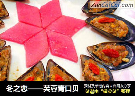 冬之恋——芙蓉青口贝
