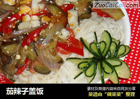 茄辣子盖饭