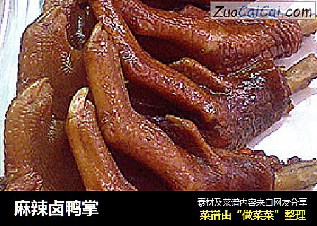 麻辣卤鸭掌