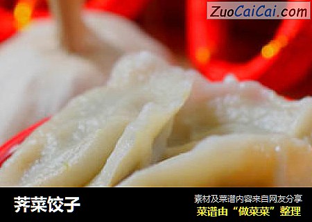 荠菜饺子