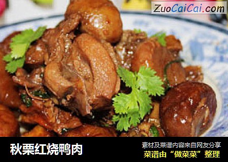 秋栗红烧鸭肉