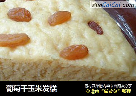 葡萄干玉米发糕