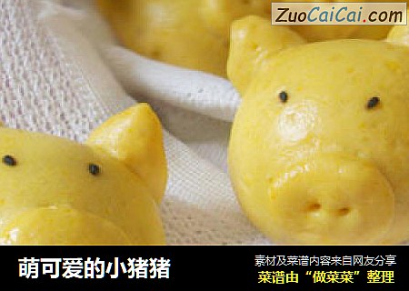 萌可爱的小猪猪