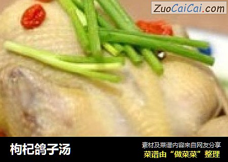 枸杞鸽子汤