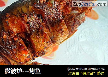 微波炉---烤鱼