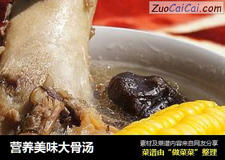 营养美味大骨汤