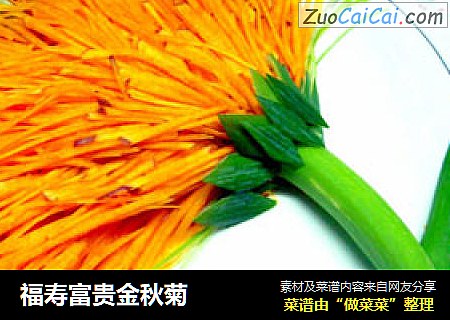 福寿富贵金秋菊