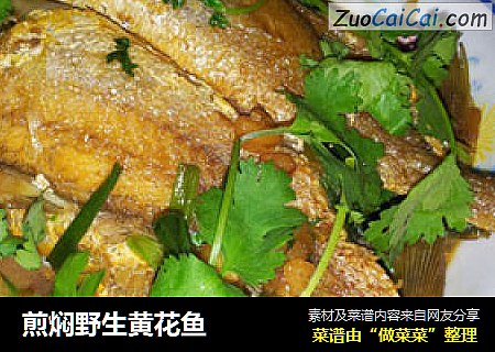 煎焖野生黄花鱼