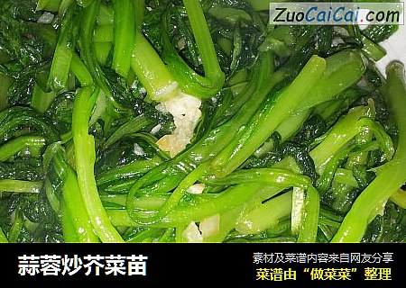 蒜蓉炒芥菜苗