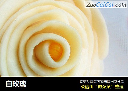 白玫瑰