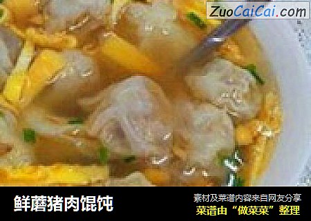 鲜蘑猪肉馄饨