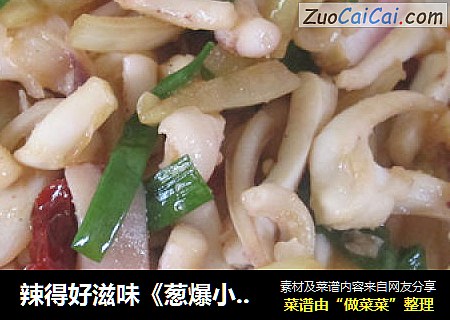 辣得好滋味《葱爆小管》