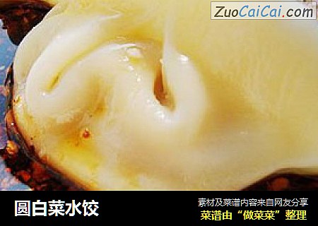 圆白菜水饺