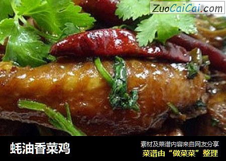 蚝油香菜鸡