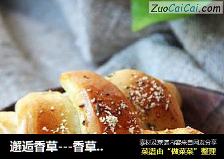 邂逅香草---香草面包卷