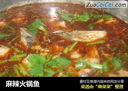 麻辣火锅鱼