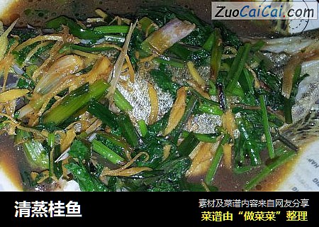 清蒸桂鱼