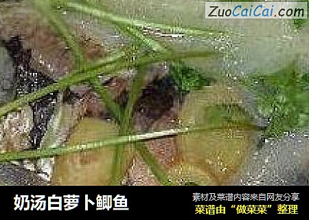 奶汤白萝卜鲫鱼