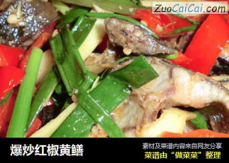 爆炒红椒黄鳝