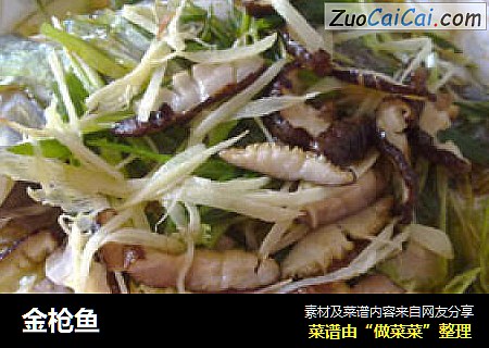 金枪鱼