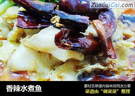 香辣水煮鱼