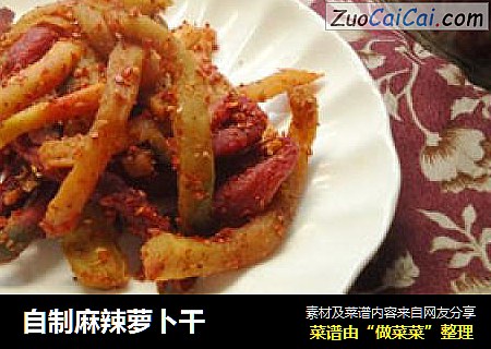 自制麻辣萝卜干
