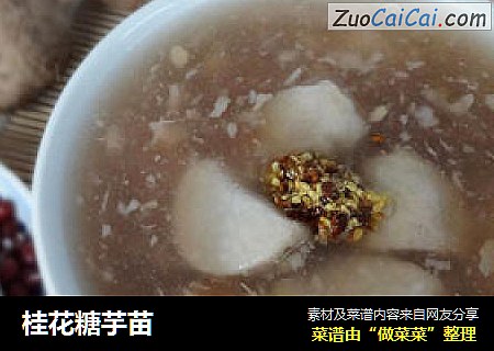 桂花糖芋苗