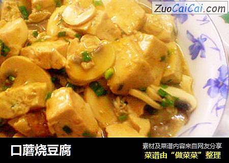 口蘑烧豆腐