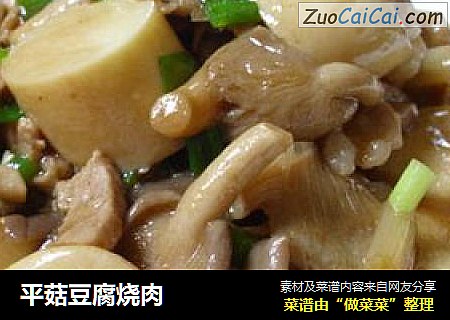 平菇豆腐烧肉
