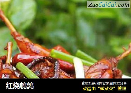 红烧鹌鹑