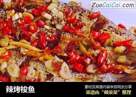 辣烤梭鱼