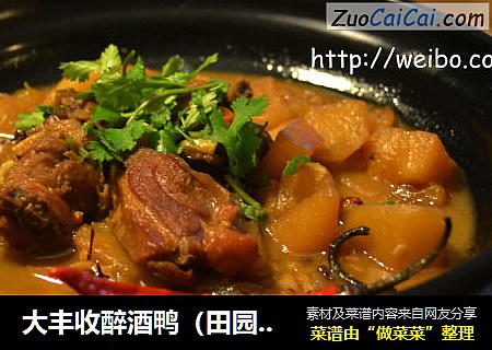 大丰收醉酒鸭（田园啤酒鸭）