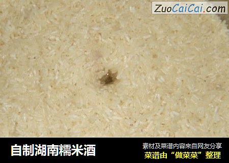 自制湖南糯米酒