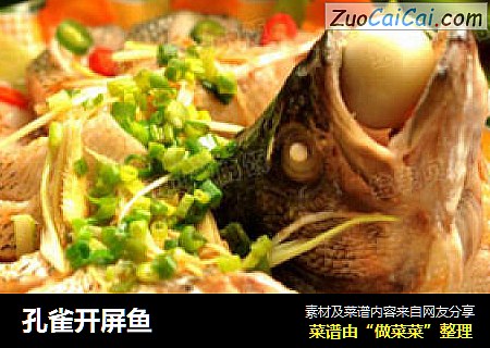 孔雀开屏鱼