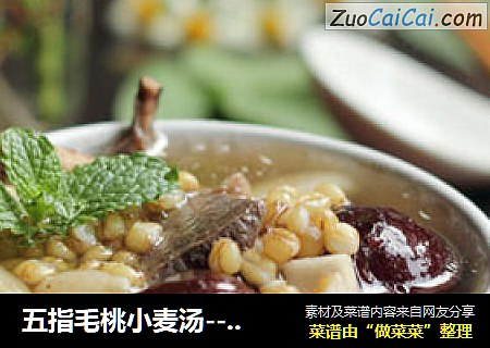 五指毛桃小麦汤---健脾祛湿又开胃