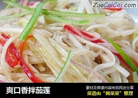 爽口香拌茄莲