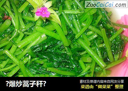 ?爆炒蒿子秆?
