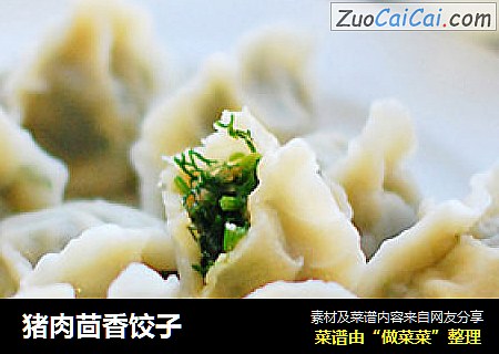 猪肉茴香饺子
