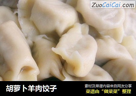 胡萝卜羊肉饺子